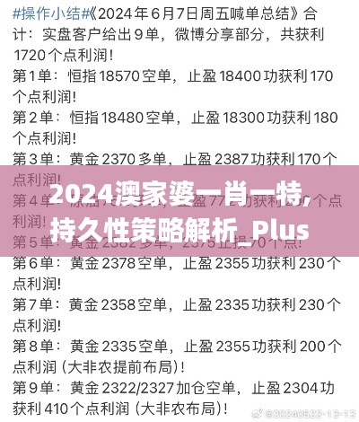 2024澳家婆一肖一特,持久性策略解析_Plus1.810