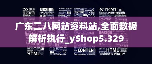 广东二八网站资料站,全面数据解析执行_yShop5.329