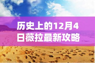 薇拉最新攻略，探寻自然美景之旅，于12月4日启程寻找内心的宁静与平和