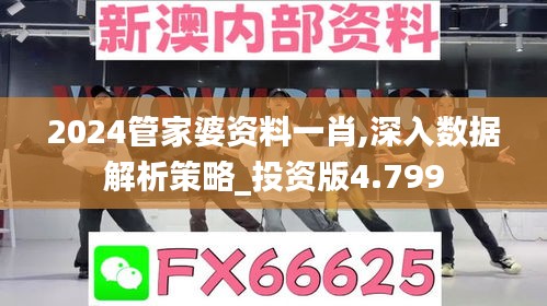 2024管家婆资料一肖,深入数据解析策略_投资版4.799