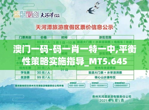 澳门一码-码一肖一特一中,平衡性策略实施指导_MT5.645