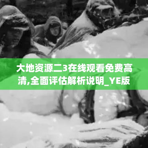 大地资源二3在线观看免费高清,全面评估解析说明_YE版1.241