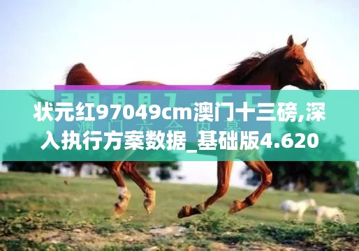 状元红97049cm澳门十三磅,深入执行方案数据_基础版4.620