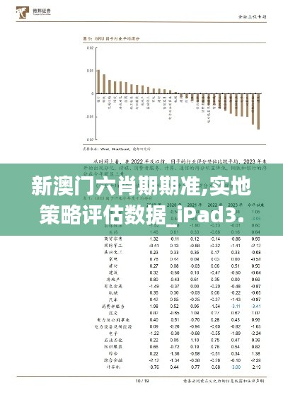 新澳门六肖期期准,实地策略评估数据_iPad3.326