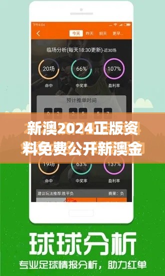 新澳2024正版资料免费公开新澳金牌解密,实效设计解析_soft4.621