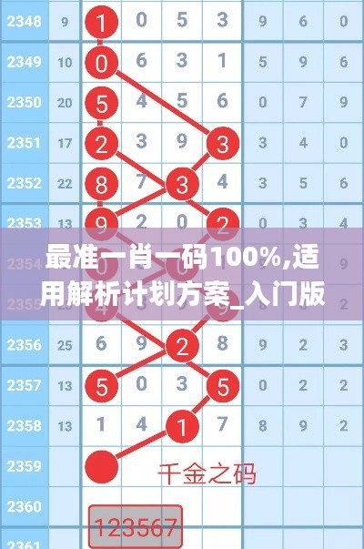 最准一肖一码100%,适用解析计划方案_入门版8.972