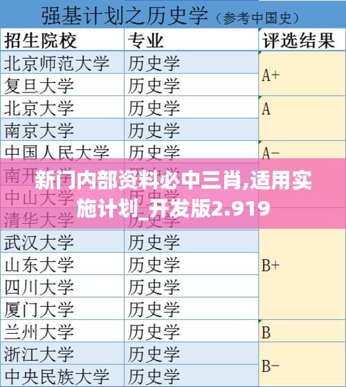 新门内部资料必中三肖,适用实施计划_开发版2.919