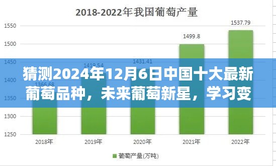 揭秘未来新星，中国十大最新葡萄品种揭晓，展望2024年12月6日的新风采！