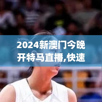 2024新澳门今晚开特马直播,快速响应方案_FHD3.153