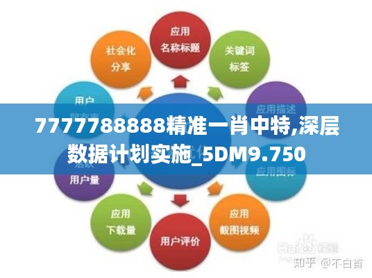 7777788888精准一肖中特,深层数据计划实施_5DM9.750