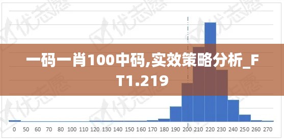 一码一肖100中码,实效策略分析_FT1.219