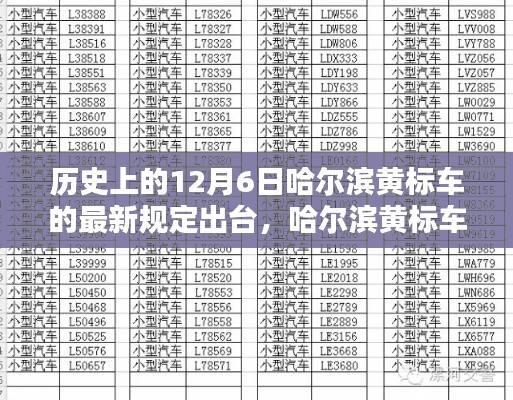 哈尔滨黄标车新规诞生记，12月6日历史时刻与深远影响回顾