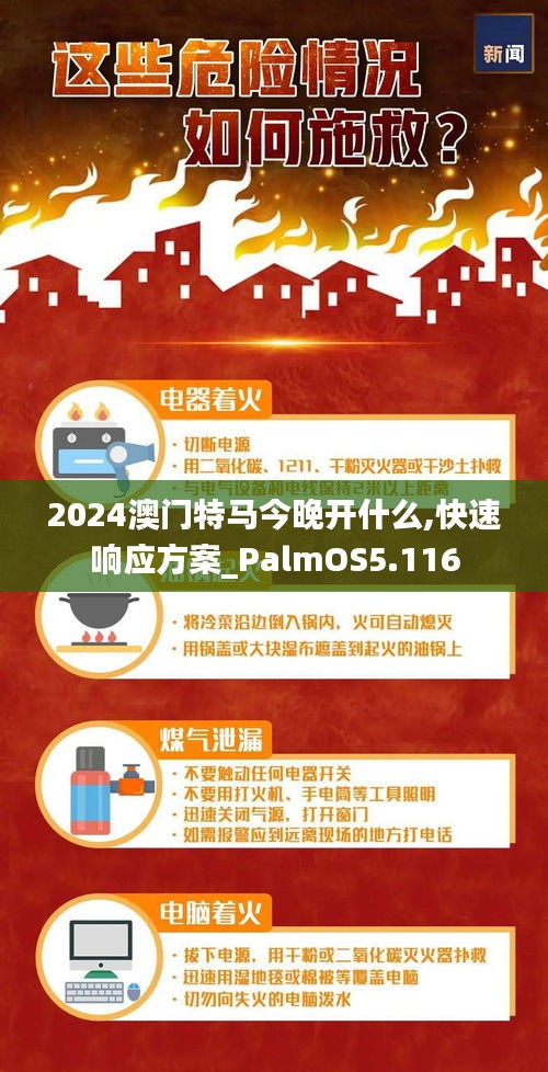 2024澳门特马今晚开什么,快速响应方案_PalmOS5.116