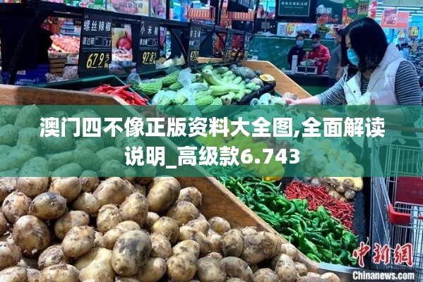 澳门四不像正版资料大全图,全面解读说明_高级款6.743