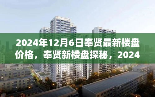 2024年12月6日奉贤最新楼盘价格揭秘，探秘新楼盘，开启温馨家园之旅