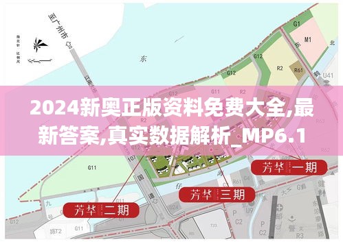 2024新奥正版资料免费大全,最新答案,真实数据解析_MP6.126