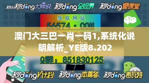 澳门大三巴一肖一码1,系统化说明解析_YE版8.202