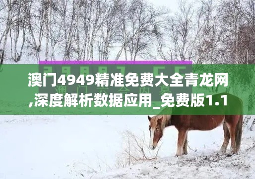 澳门4949精准免费大全青龙网,深度解析数据应用_免费版1.152