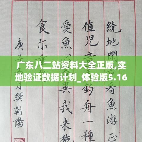 广东八二站资料大全正版,实地验证数据计划_体验版5.160