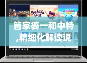 管家婆一和中特,精细化解读说明_Chromebook4.774