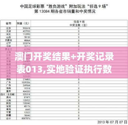 澳门开奖结果+开奖记录表013,实地验证执行数据_WP版2.374