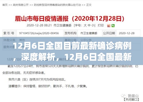 深度解析，全国最新确诊病例报告特性、用户体验及用户群体分析（截至12月6日）