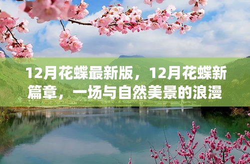 12月花蝶新篇章，与自然美景的浪漫遨游，探寻内心的平和与喜悦