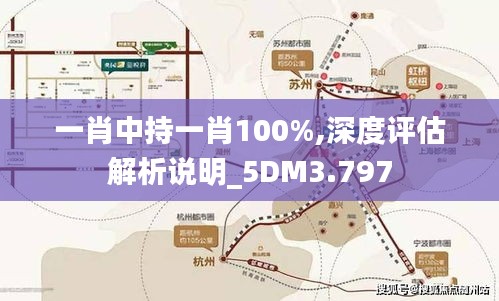 一肖中持一肖100%,深度评估解析说明_5DM3.797