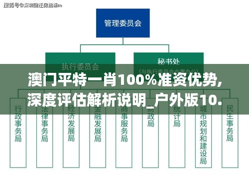 澳门平特一肖100%准资优势,深度评估解析说明_户外版10.388