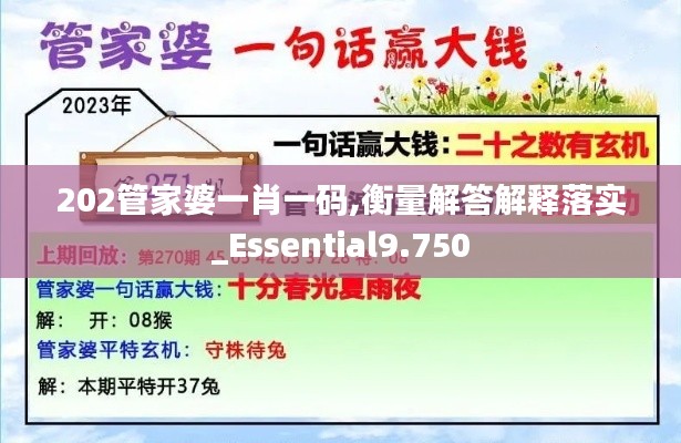 202管家婆一肖一码,衡量解答解释落实_Essential9.750