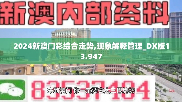 2024新澳门彩综合走势,现象解释管理_DX版13.947