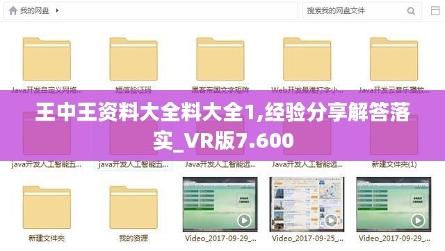 王中王资料大全料大全1,经验分享解答落实_VR版7.600