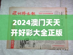 2024澳门天天开好彩大全正版,详述解答解释落实_冒险版2.228