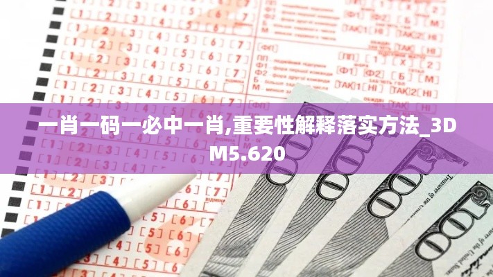 一肖一码一必中一肖,重要性解释落实方法_3DM5.620