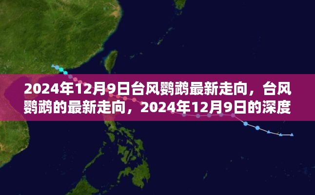 台风鹦鹉最新走向深度测评与介绍，2024年12月9日更新