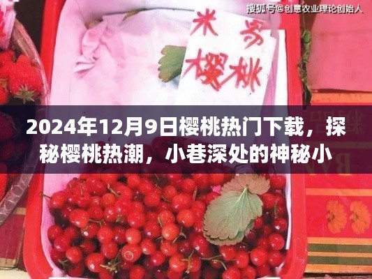 探秘樱桃热潮，神秘小店的惊喜下载之旅（2024年12月9日）