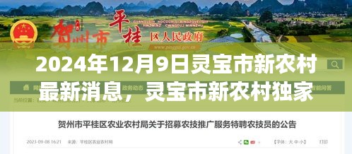 2024年12月9日灵宝市新农村最新动态与独家爆料