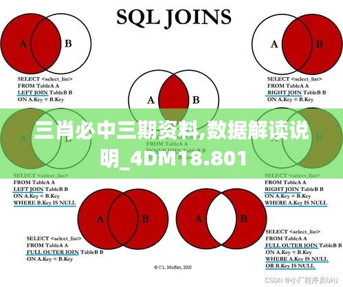 三肖必中三期资料,数据解读说明_4DM18.801