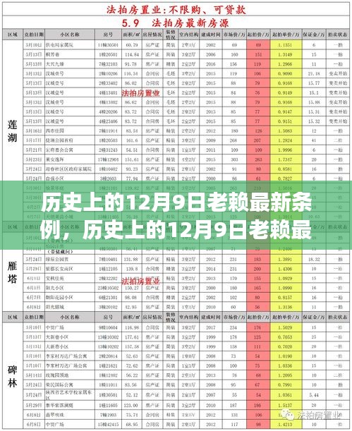 深度解读历史上的老赖条例，多方观点碰撞与个人立场阐述