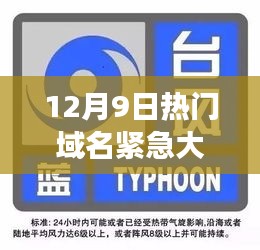 12月9日热门域名风云突变，你必须知道的重要信息