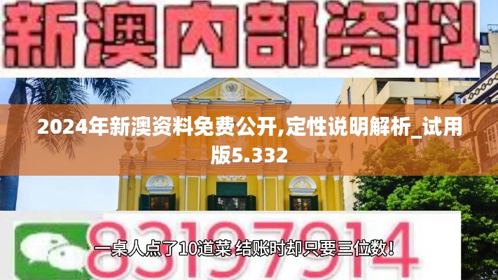 2024年新澳资料免费公开,定性说明解析_试用版5.332