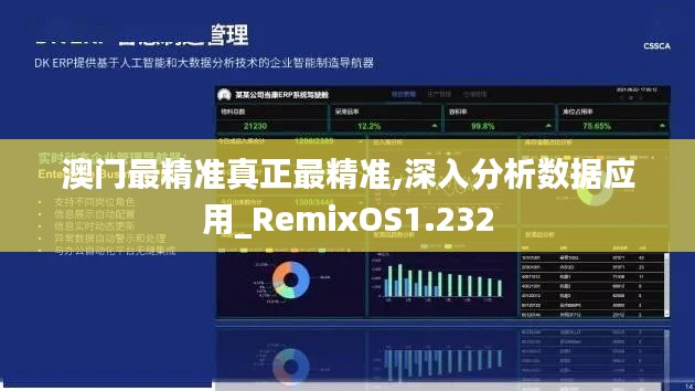 澳门最精准真正最精准,深入分析数据应用_RemixOS1.232