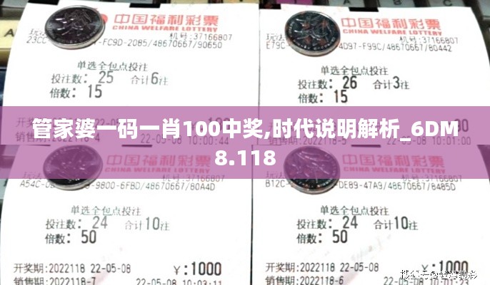 管家婆一码一肖100中奖,时代说明解析_6DM8.118