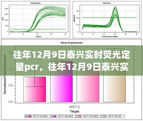 往年12月9日泰兴实时荧光定量PCR技术及观点探讨