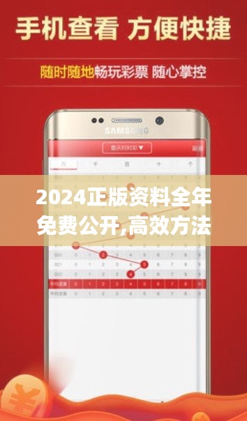 2024正版资料全年免费公开,高效方法解析_9DM6.593