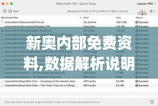 新奥内部免费资料,数据解析说明_精英款5.699