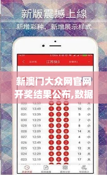 新澳门大众网官网开奖结果公布,数据分析解释定义_tool6.480