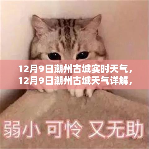 箭拔弩张 第3页