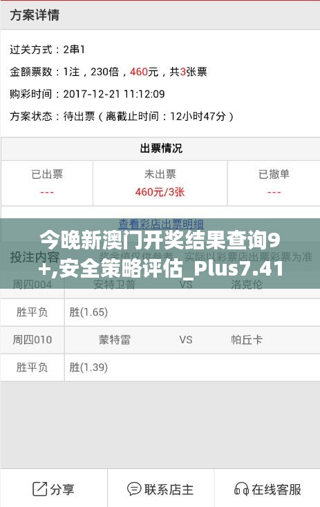 今晚新澳门开奖结果查询9+,安全策略评估_Plus7.414