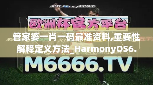 管家婆一肖一码最准资料,重要性解释定义方法_HarmonyOS6.206